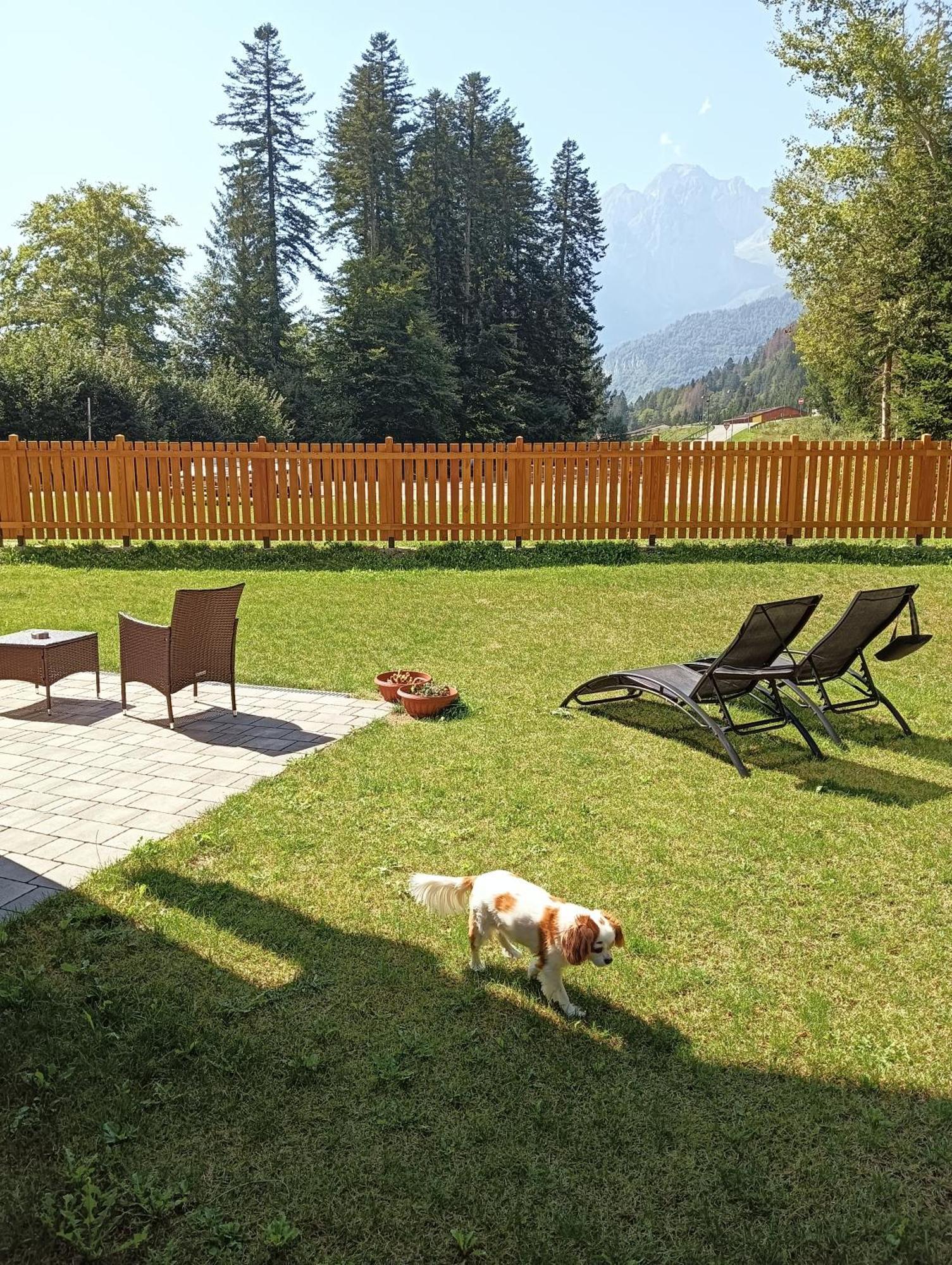 Chalet Relax Molveno E Andalo Dolomiti Villa Exterior foto